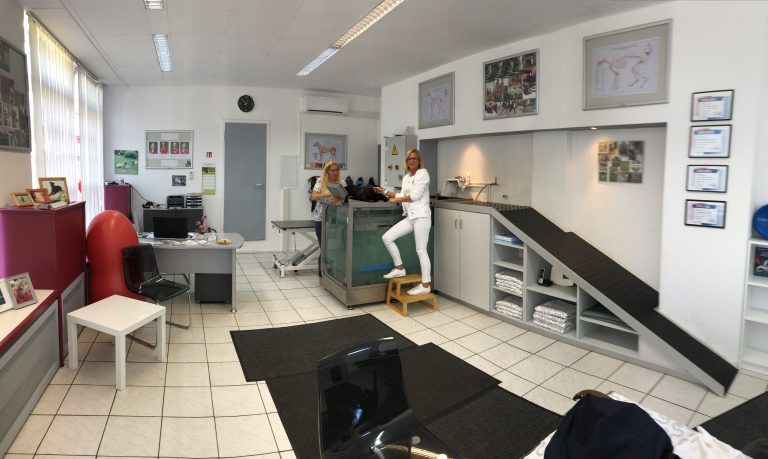 Bildergalerie – Tieraerztliche Klinik für Kleintiere Dr. med. vet. Hans ...